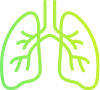 Icono de un pulmón verde